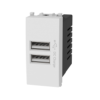 MODULO AC230V DOPPIA PRESA USB (5V) SERIE CIVILE AVP *compatibile P-l-a-n-a#291Y 