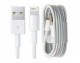 CAVO IPHONE LIGHTING 1MT a USB (in busta) original #827G