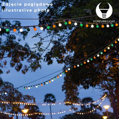 luce natale 12M 10 bulbs e27 g45 2W IP65 6000k AC230V "Force" #X2T