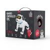 PUPAZZO CANE ROBOT TELECOMANDATO #X37G
