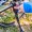 CAVALLETTO UNIVERSALE BICI 12KG TELAIO 2,5CM "Force" #X48F