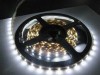 STRISCIA LED 734ww 5mt bianco caldo led 5050  IP20 (#421)