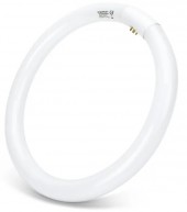 CIRCOLINA 32W T9 AC230V 6500K FLUORESCENTE AIGO 2100LM #392E