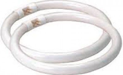 CIRCOLINA 32W T9 AC230V 6500K FLUORESCENTE AIGO 2100LM (#392e)