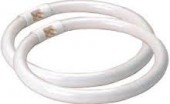 CIRCOLINA 32W T9 AC230V 6500K FLUORESCENTE AIGO 2100LM (#392e)