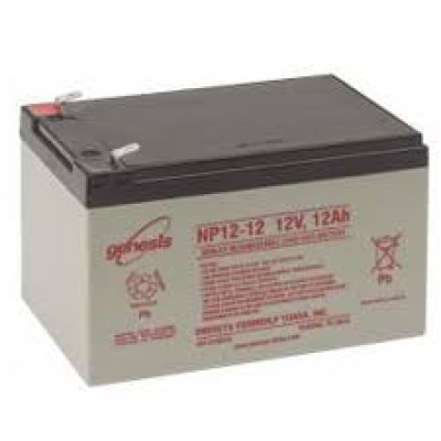 PILA PIOMBO 12V 12AH (#209 13A209)