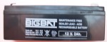 PILA PIOMBO 12V 2AH (#203 13A203)